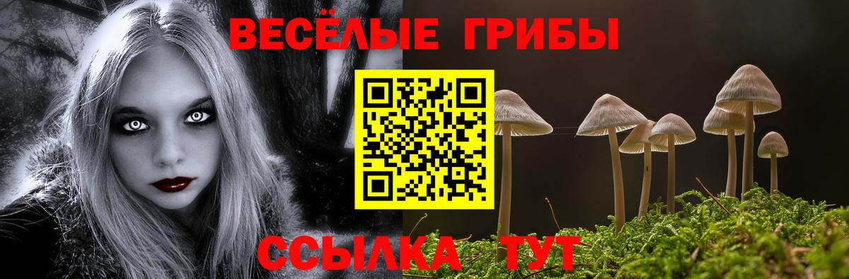 Тимашёвск  Галлюциногенные грибы Psilocybe  купить наркотики сайты  Вход с VPN 