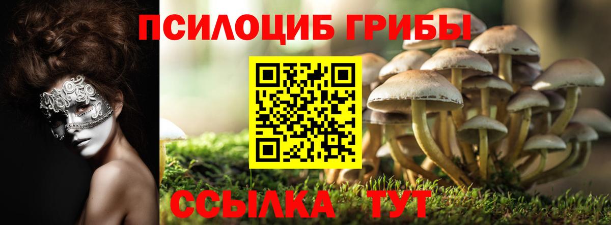 Галлюциногенные грибы мицелий Тимашёвск